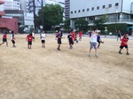 テニスボールTR.jpg