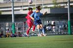IMG_2640.jpg